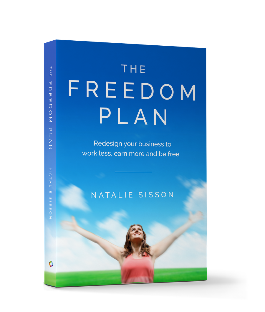 The Freedom Plan Book